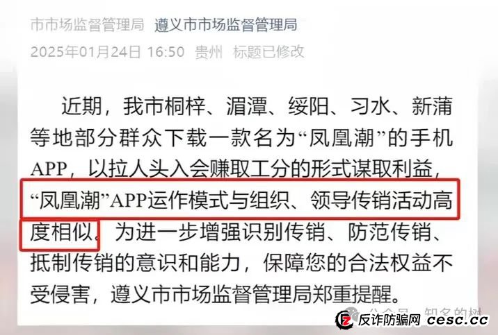 凤凰潮2.0紧急改名国海树商，背后隐藏了什么深意？