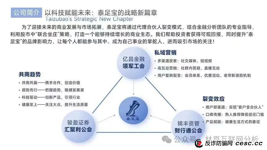 关于泰足宝股票跟单盘风控意见