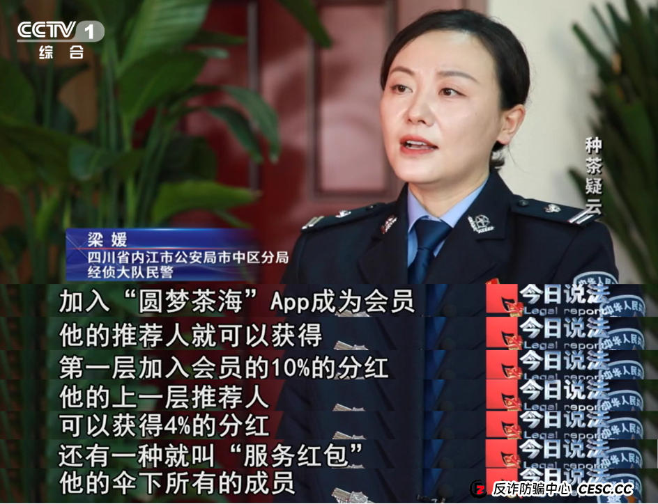 7万多名会员参与“云端种茶”，背后竟是精心编织的“致富”假象