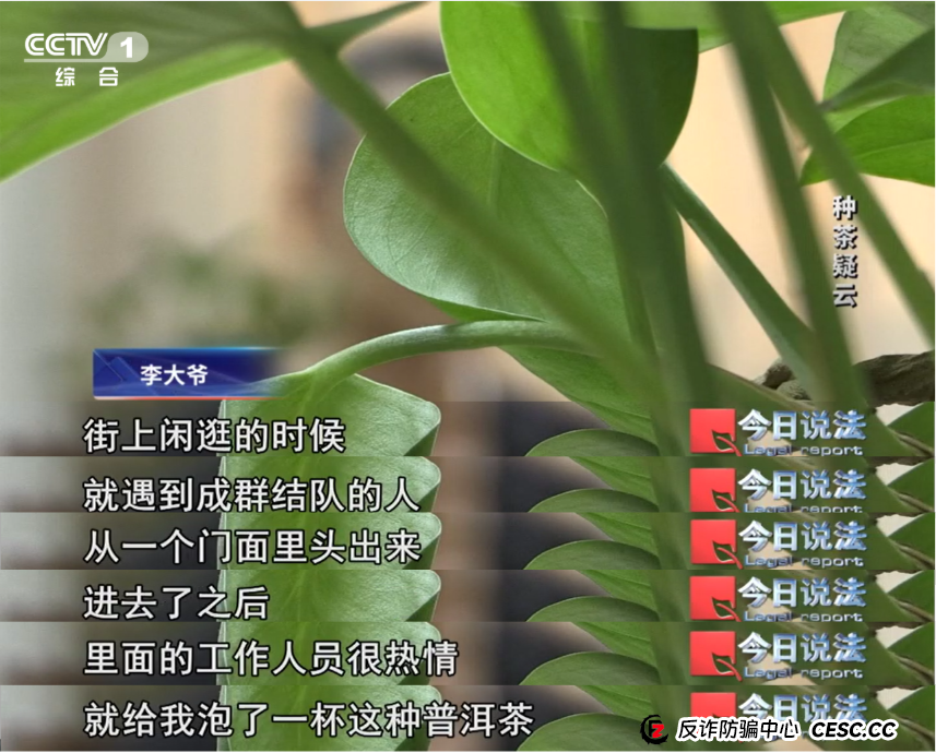 7万多名会员参与“云端种茶”，背后竟是精心编织的“致富”假象