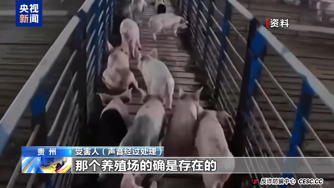 【金融普法】假养猪 真骗局 警惕披着“云养经济”外衣的非法集资
