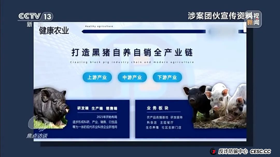 新型网络传销，数万人被骗！《焦点访谈》曝光