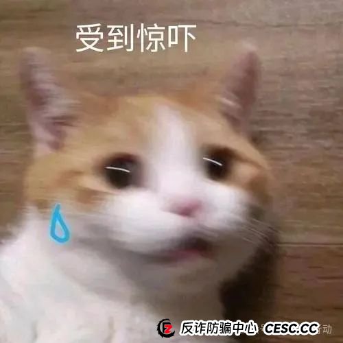 专骗老人！“健康讲座”变抢钱现场，这台“净水神器”掏空老人钱包……