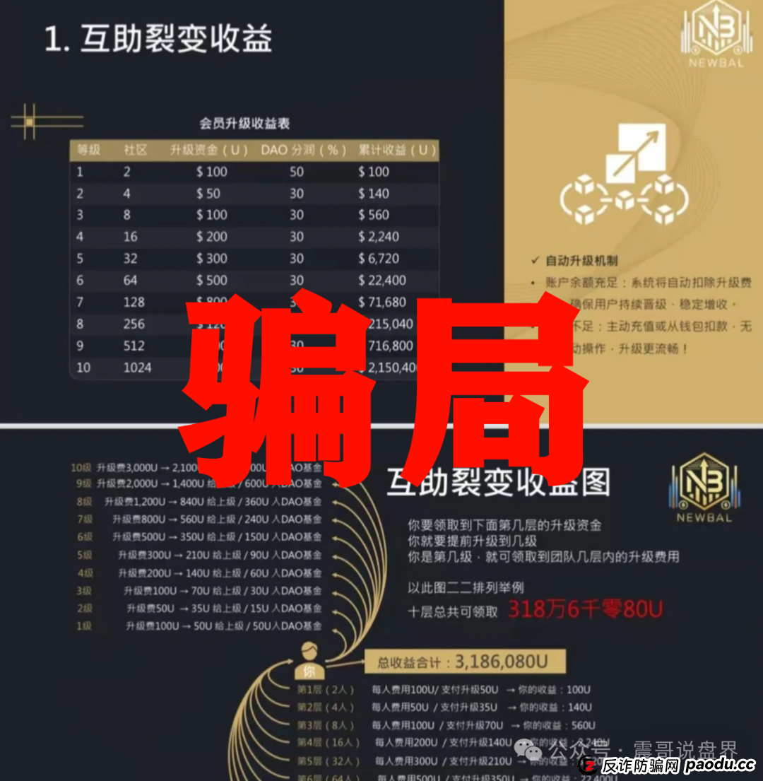 念宝全球是资金盘骗局，高度警惕谨防被骗