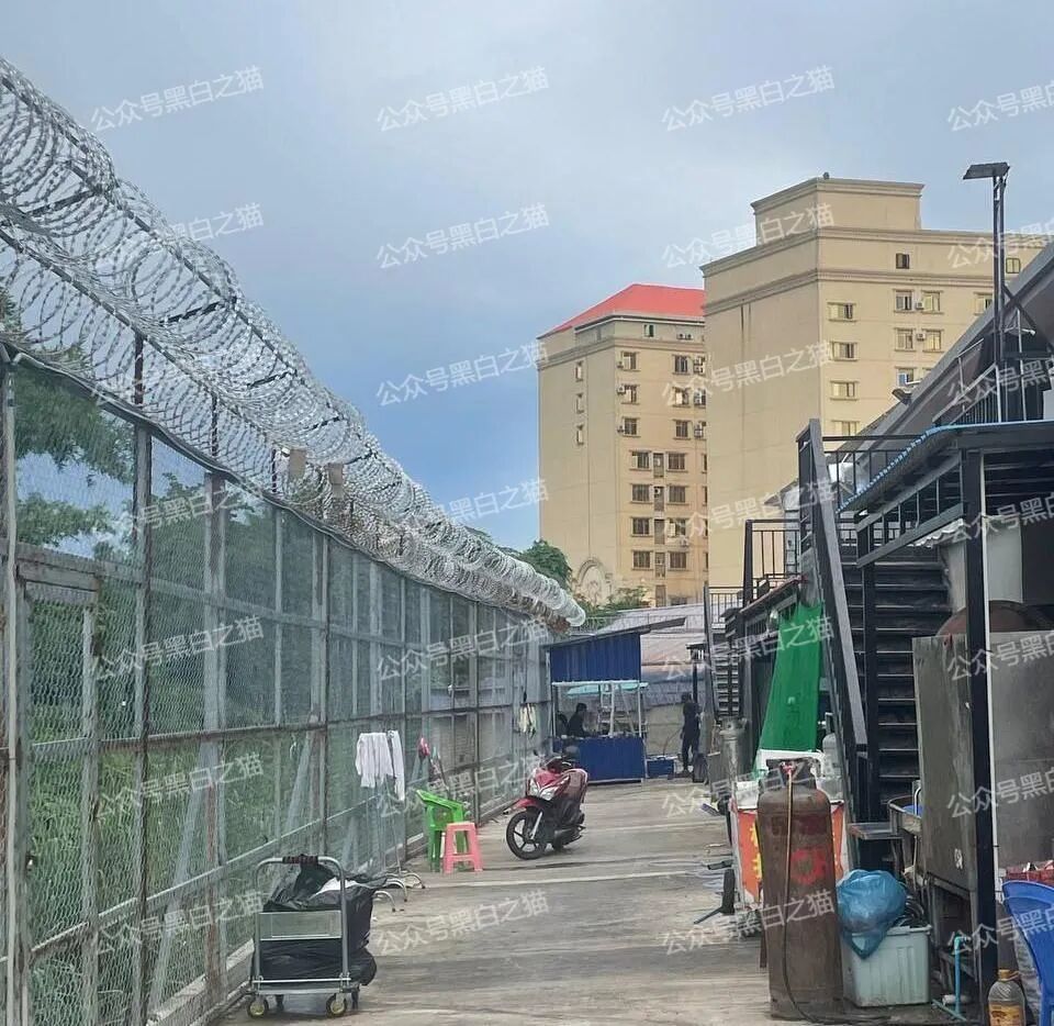 警钟提醒｜诈骗园区调查纪录片《我是别人的财产》，还原存在的基因....(4)