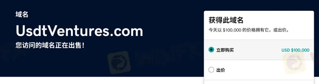 10万美元天价域名背后的连环骗局 借“鸽子费”榨干投资者，USDT Ventures被官方警示后“借尸还魂”(8)