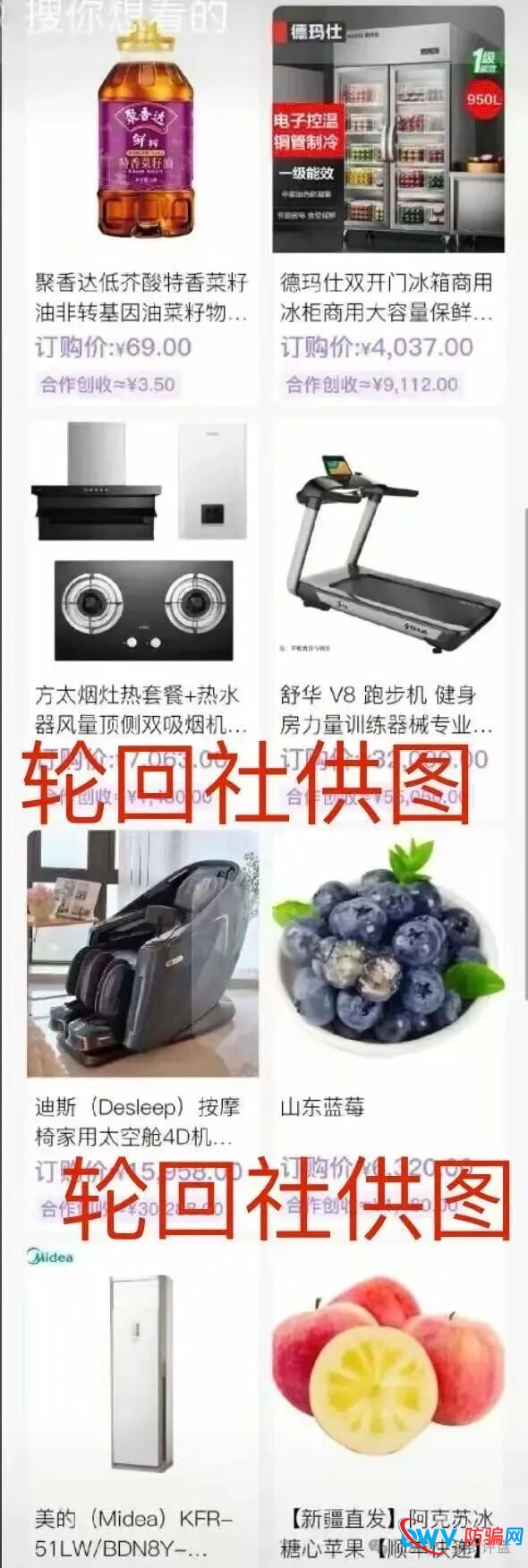 警惕！＂香港蜂巢聚优＂：披着跨境电商外衣的资金盘传销陷阱