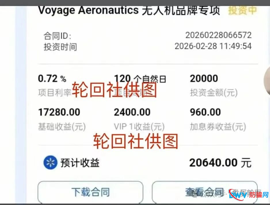 警惕！＂香港蜂巢聚优＂：披着跨境电商外衣的资金盘传销陷阱