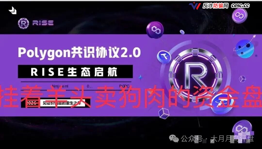RISE冒充Polygon官方：拉布布仿盘泡沫到顶，9月5日崩盘预警(2)